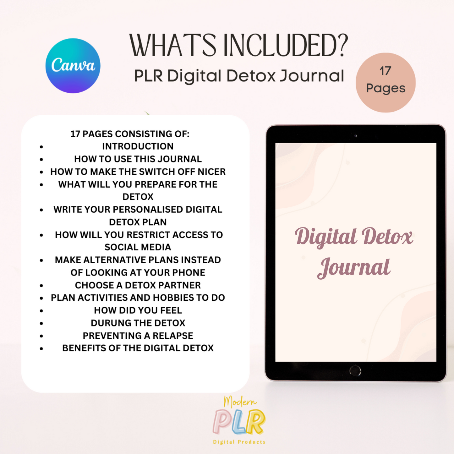 digital detox journal plr/mrr