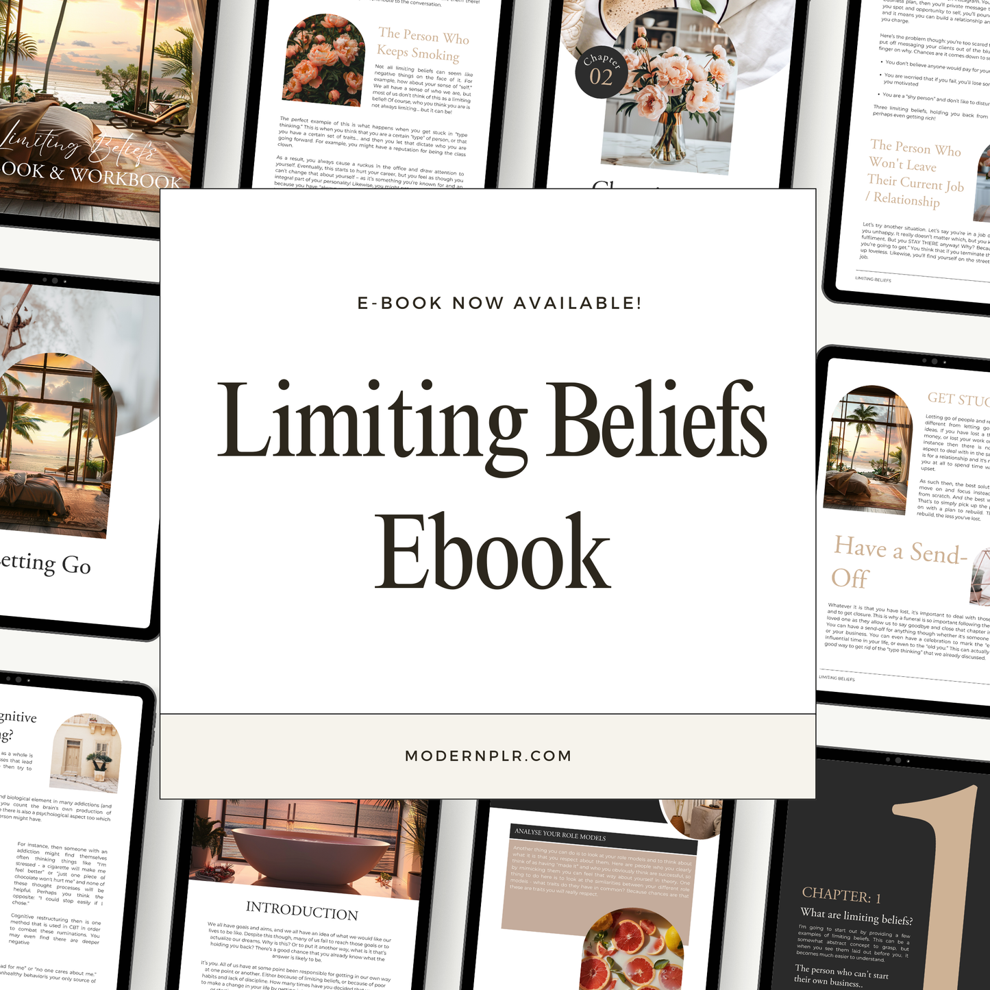 limiting beliefs ebook & workbook plr/mrr