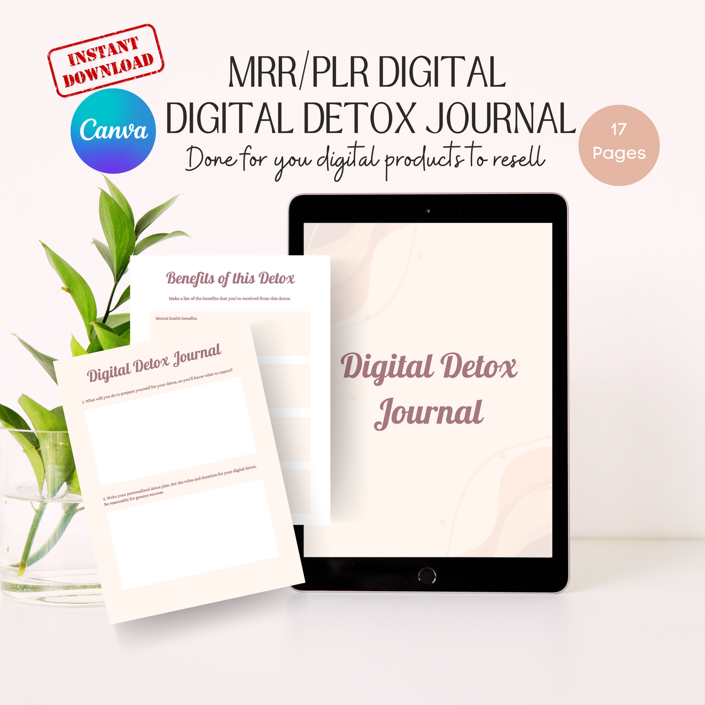 digital detox journal plr/mrr