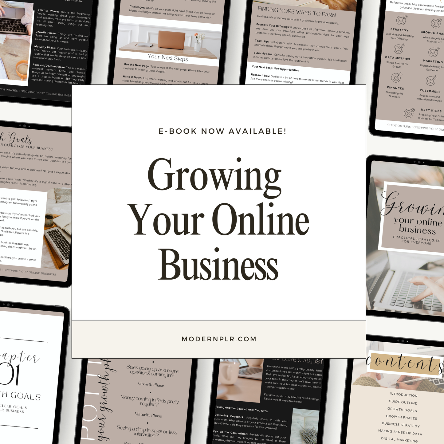 growing your online business ebook plr/mrr