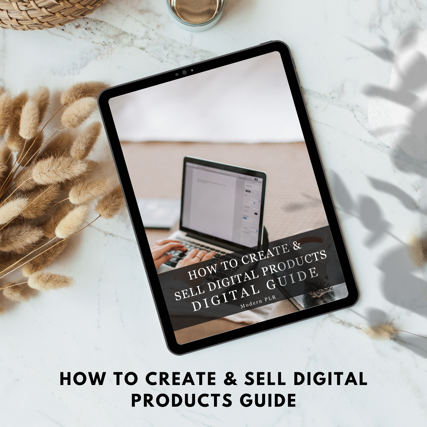 how to create & sell digital products guide plr/mrr