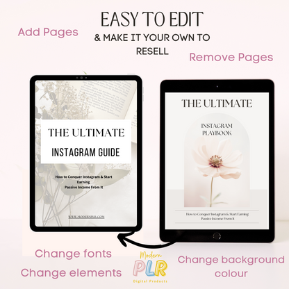 The Ultimate Instagram Playbook PLR/MRR