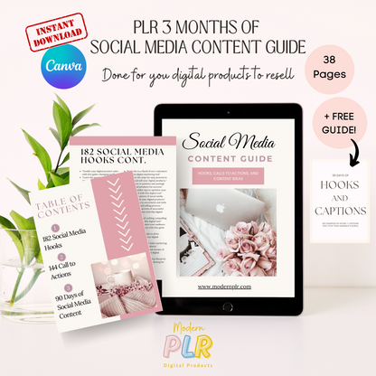 3 Months of Social Media Content PLR/MRR