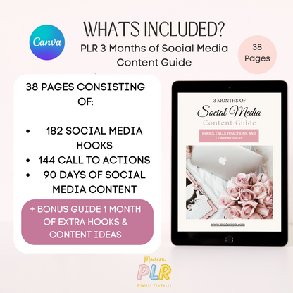 3 Months of Social Media Content PLR/MRR