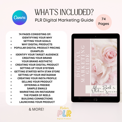 Digital Marketing Ebook PLR/MRR