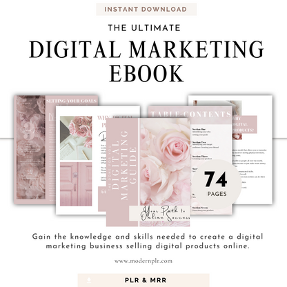 Digital Marketing Ebook PLR/MRR