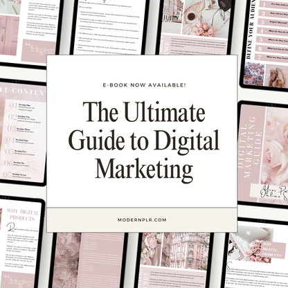 Digital Marketing Ebook PLR/MRR