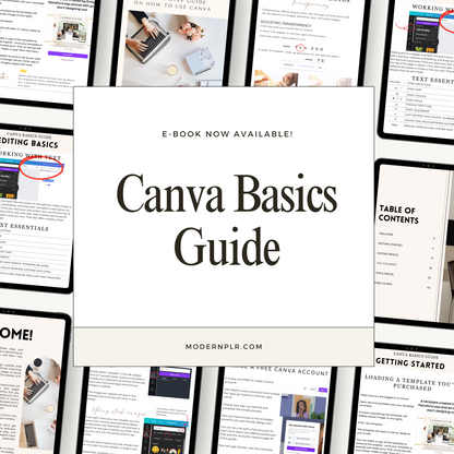 Canva Basics Guide PLR/MRR