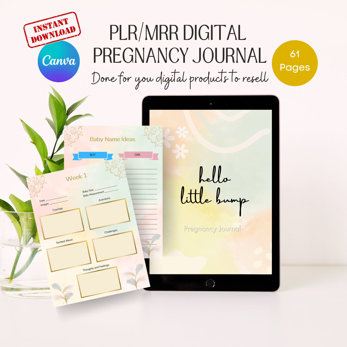 pregnancy journal plr/mrr