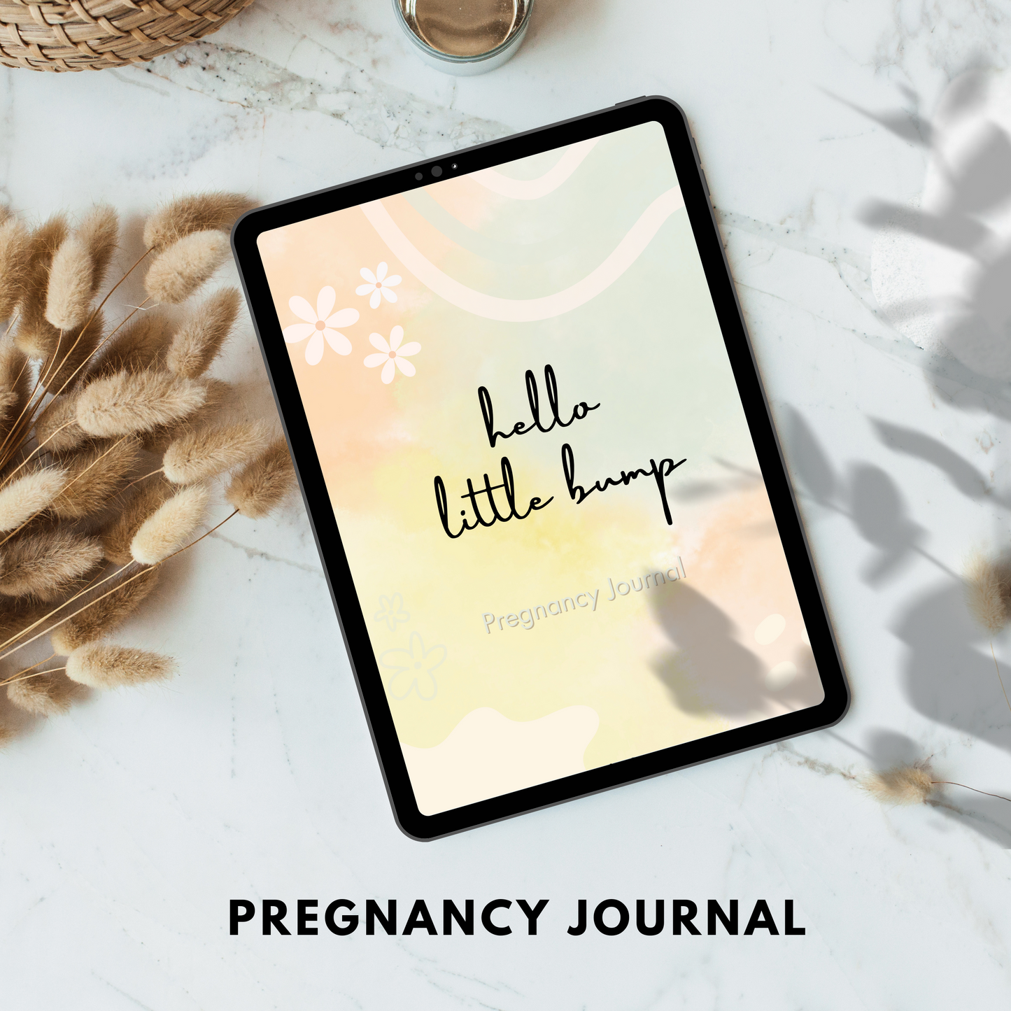 pregnancy journal plr/mrr