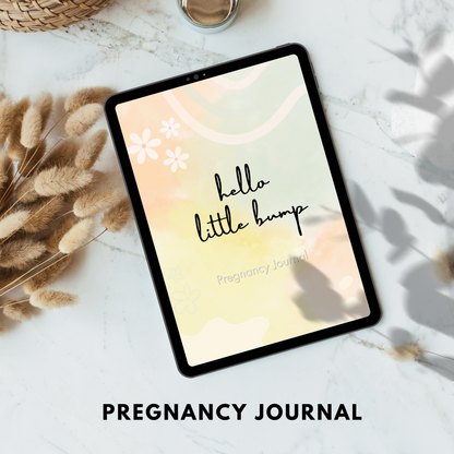 Pregnancy Journal PLR/MRR