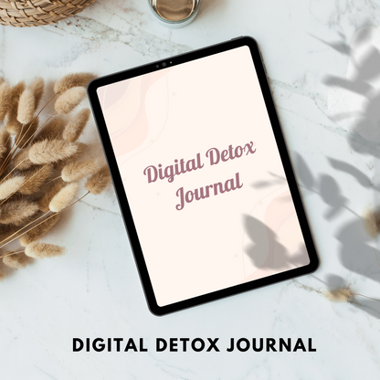 Digital Detox Journal PLR/MRR