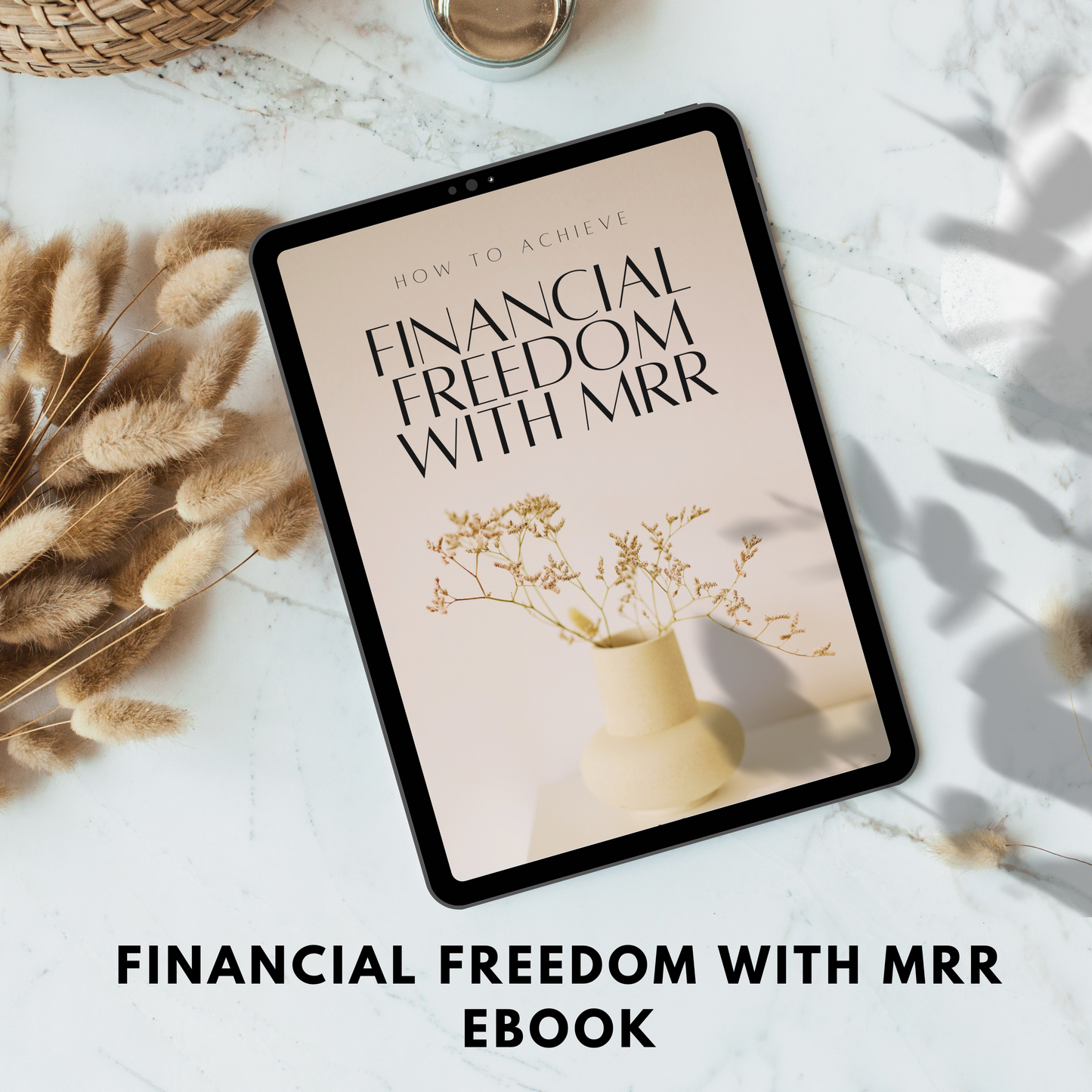 financial freedom with mrr ebook plr/mrr