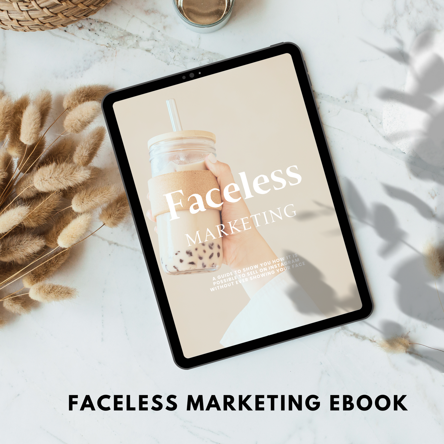 faceless marketing ebook plr/mrr