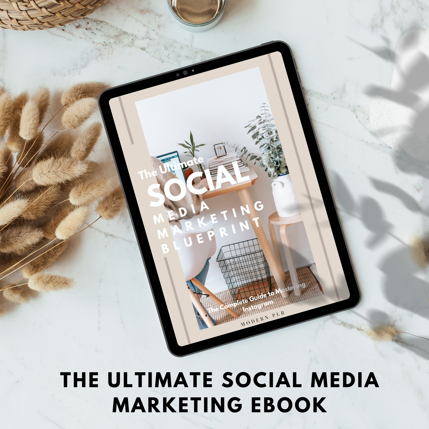 the ultimate social media marketing blueprint plr/mrr