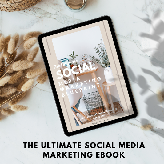 The Ultimate Social Media Marketing Blueprint PLR/MRR