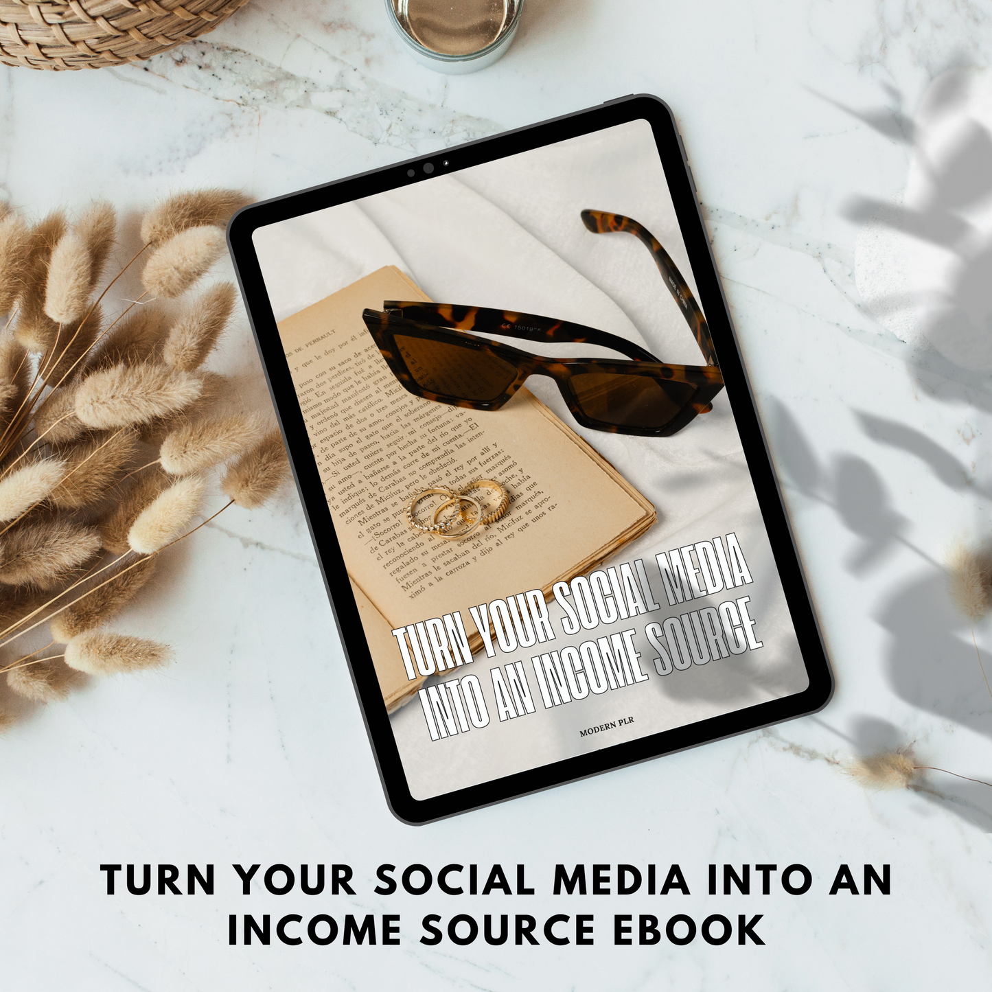 turn your social media into an income source plr/mrr