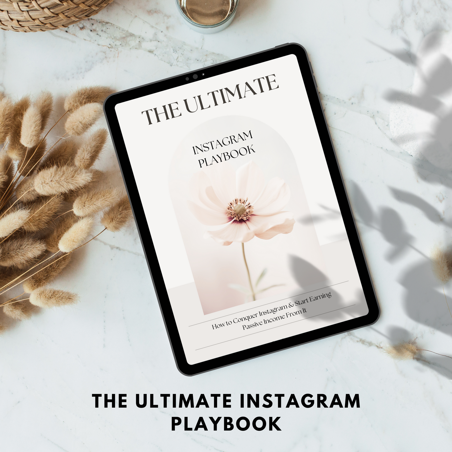 the ultimate instagram playbook plr/mrr