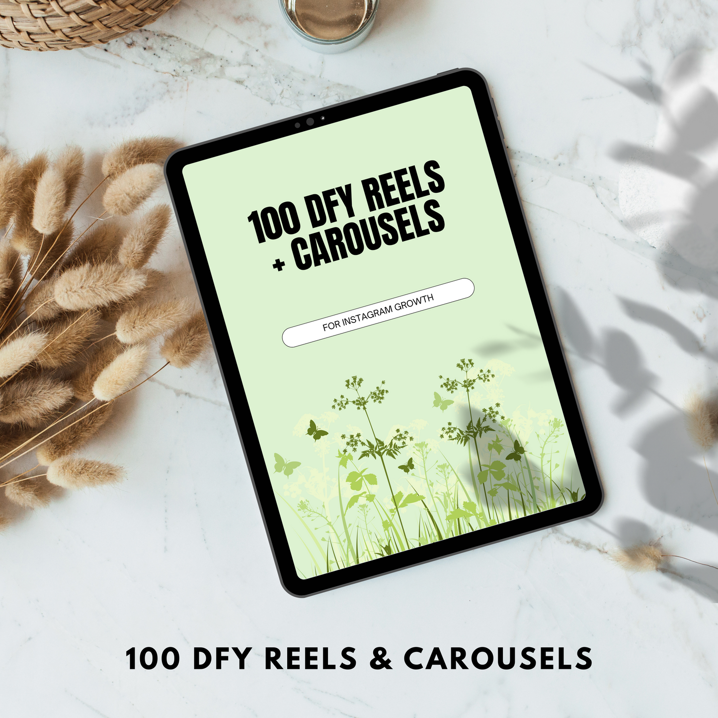 100 dfy reels & carousels plr/mrr