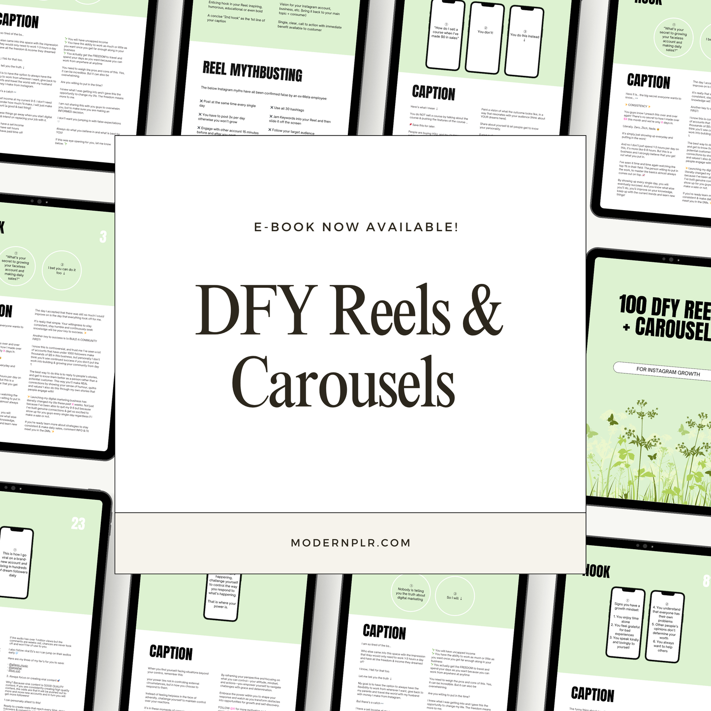 100 dfy reels & carousels plr/mrr