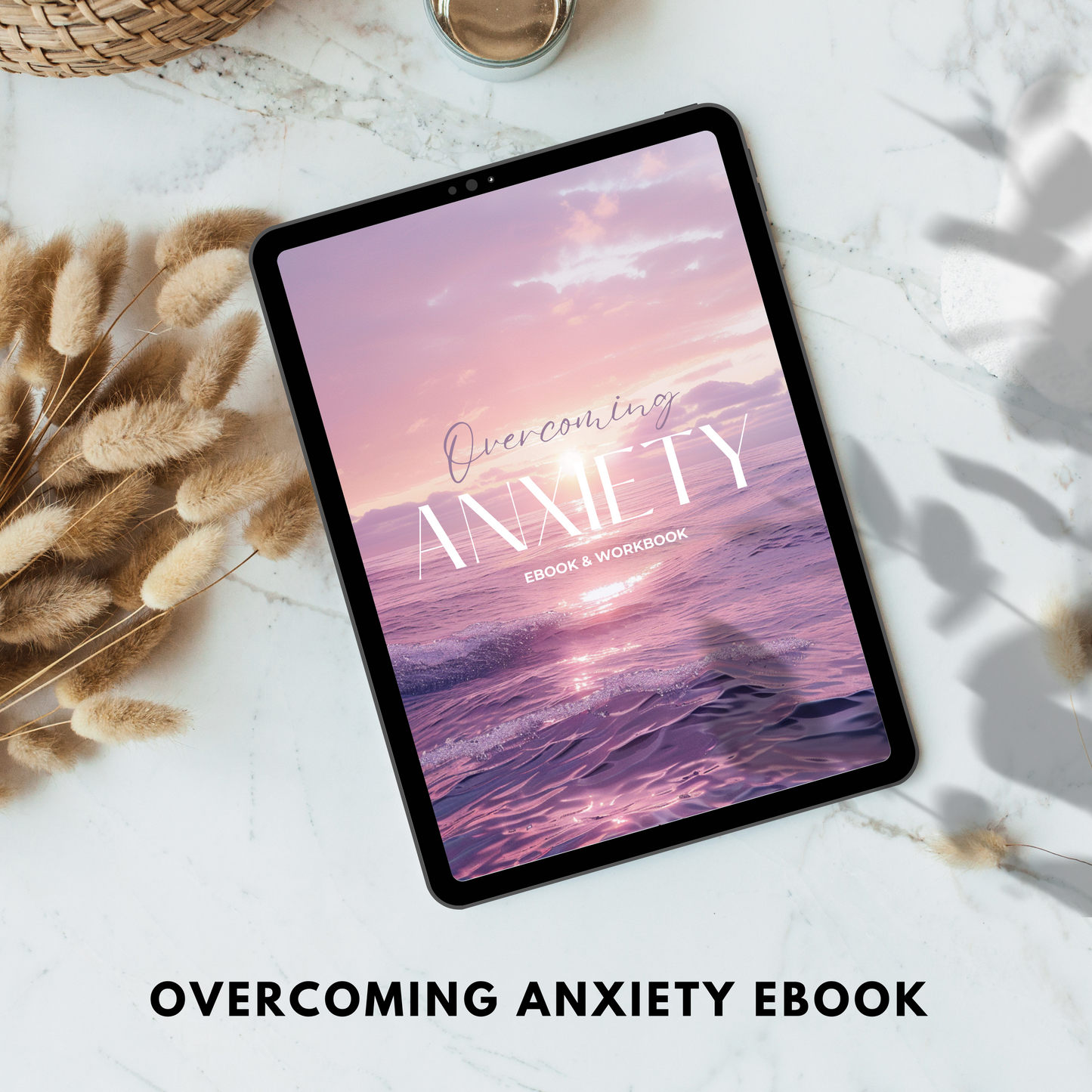 overcoming anxiety ebook & workbook plr/mrr