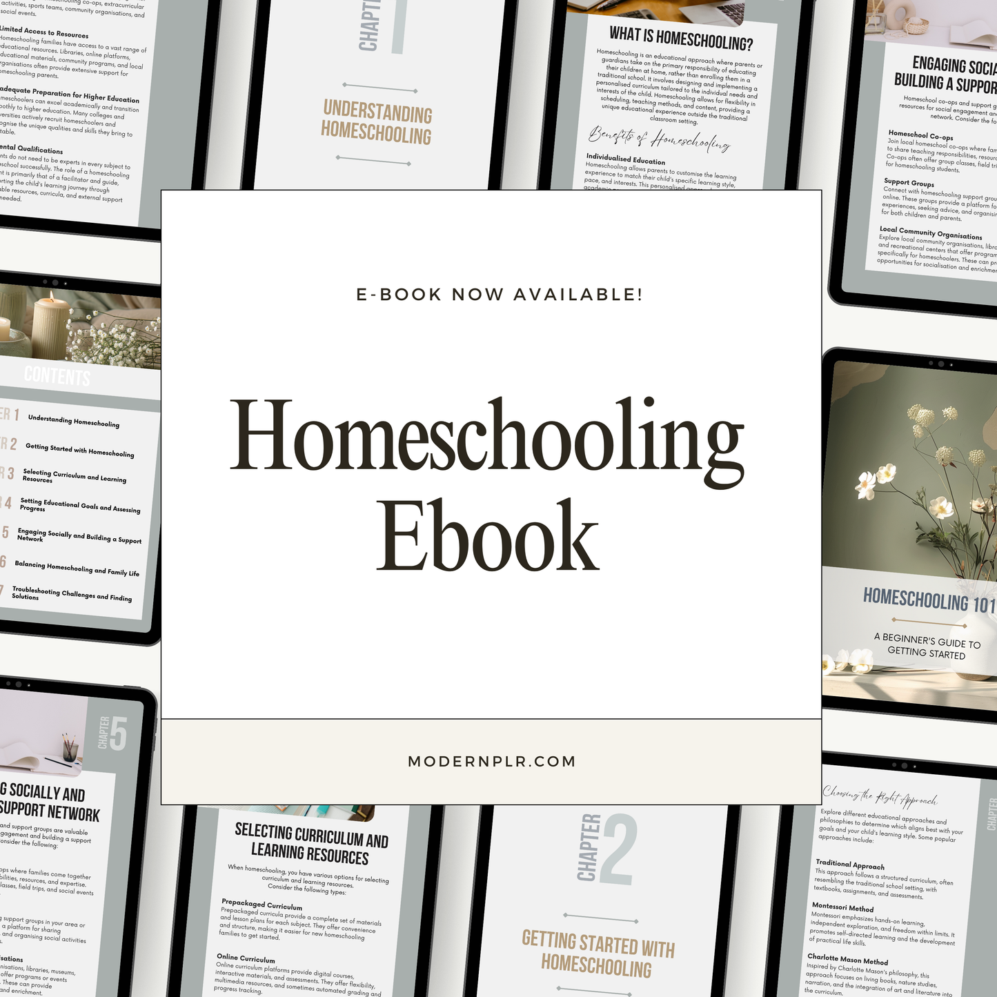 homeschooling ebook plr/mrr