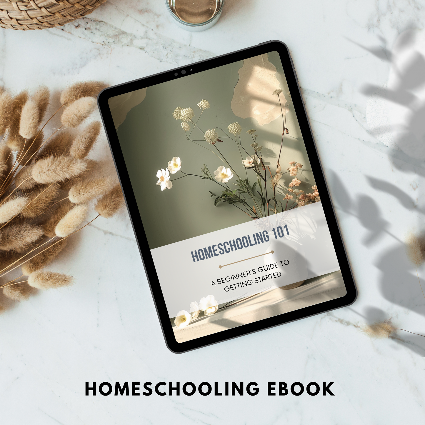 homeschooling ebook plr/mrr