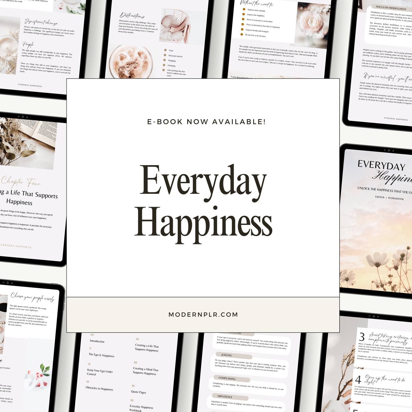 everyday happiness ebook & workbook plr/mrr