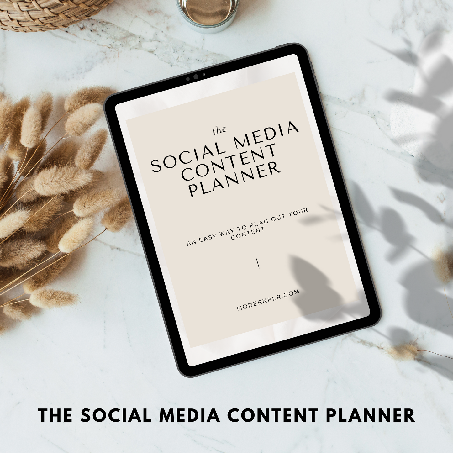 the social media content planner plr/mrr