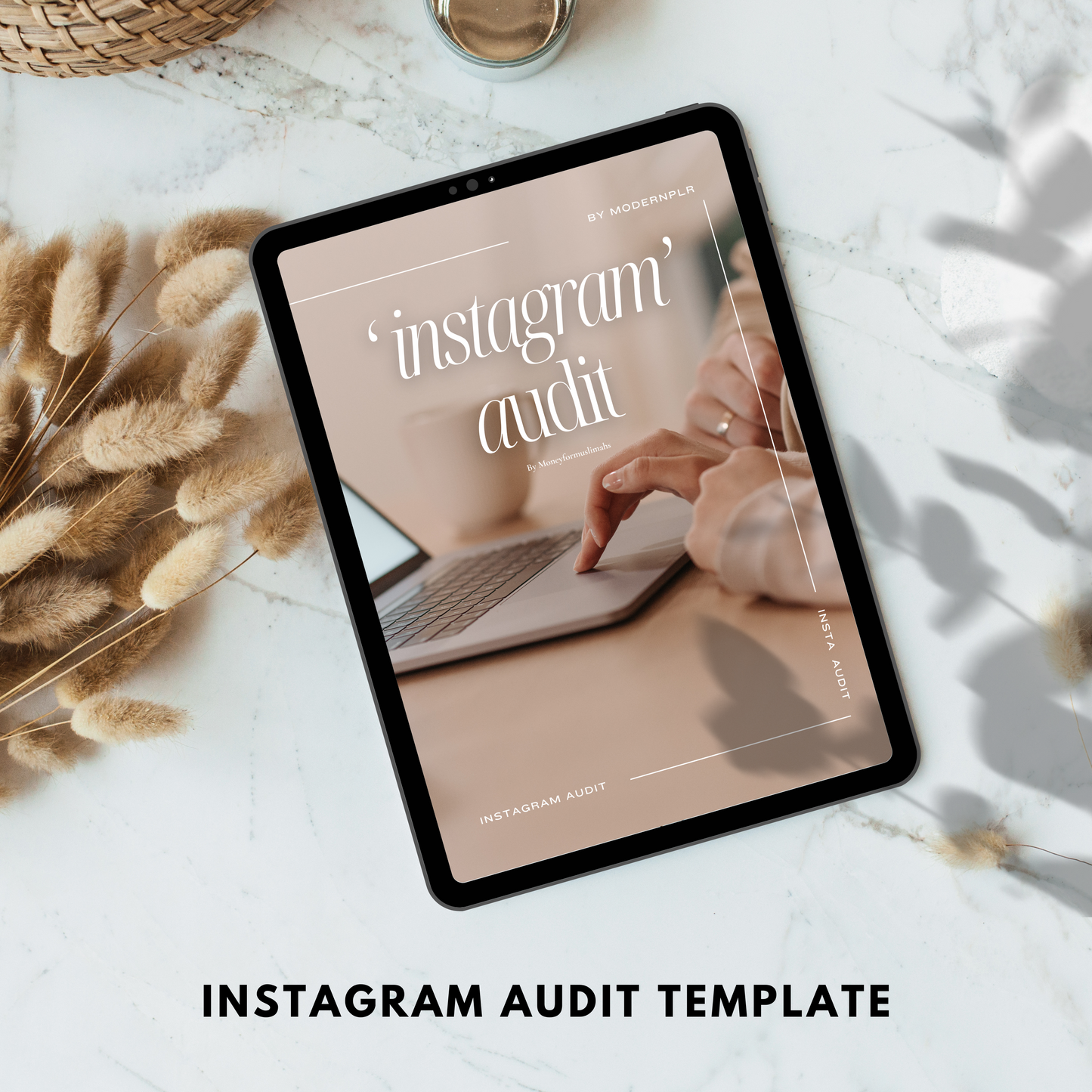 instagram audit template plr/mrr