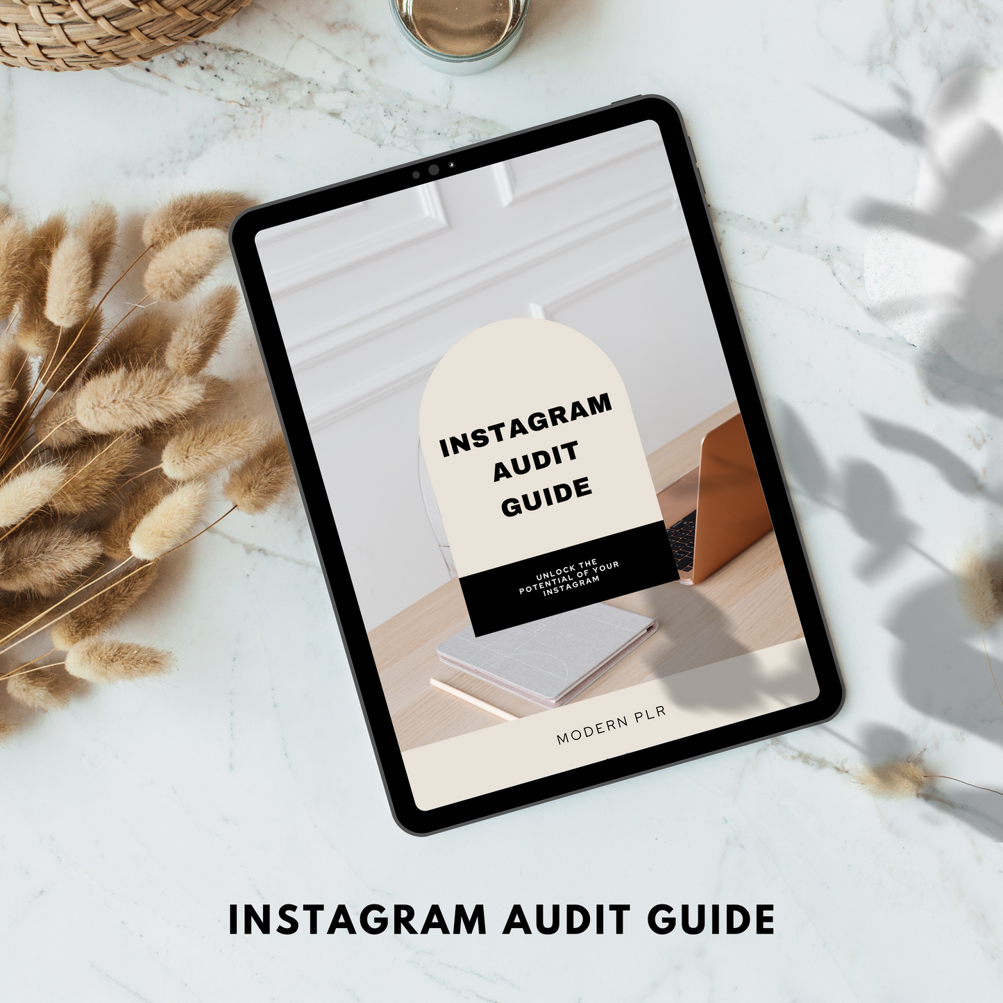 instagram audit guide plr/mrr