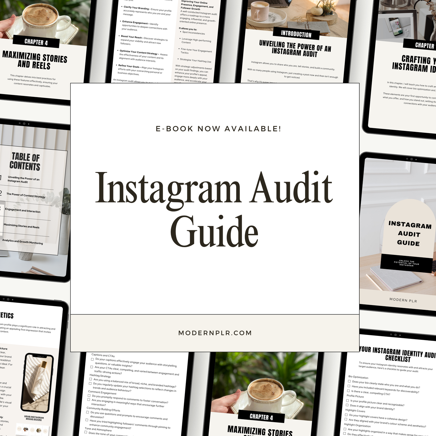 instagram audit guide plr/mrr