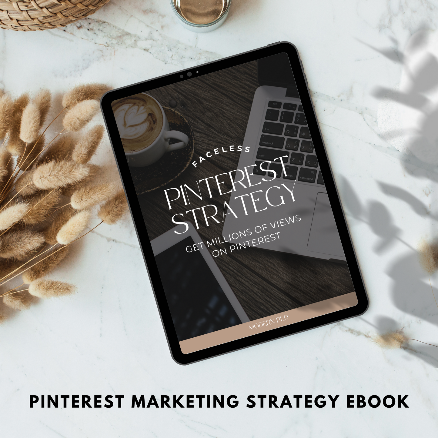 pinterest marketing strategy ebook plr/mrr