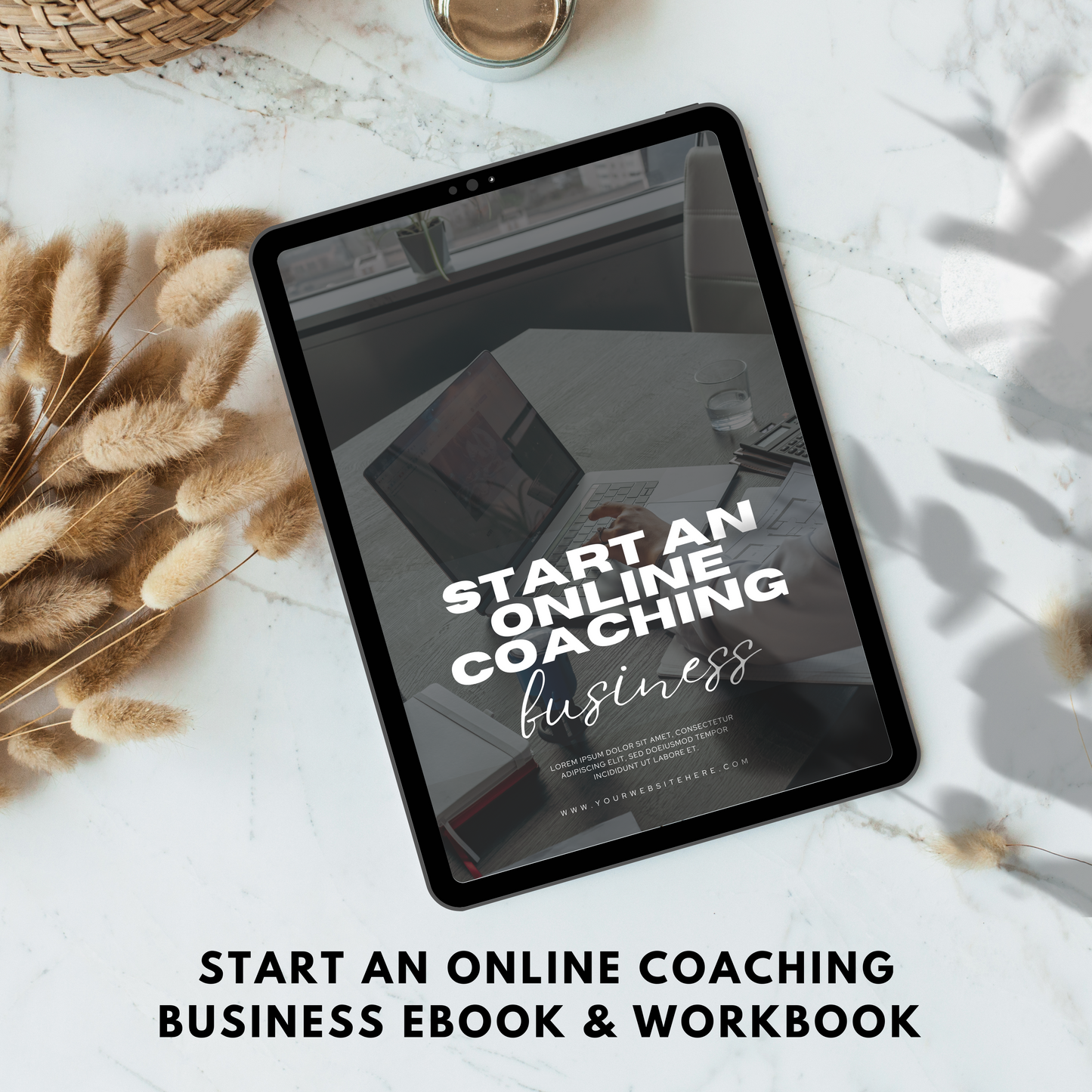 start an online coaching business ebook & workbook plr/mrr