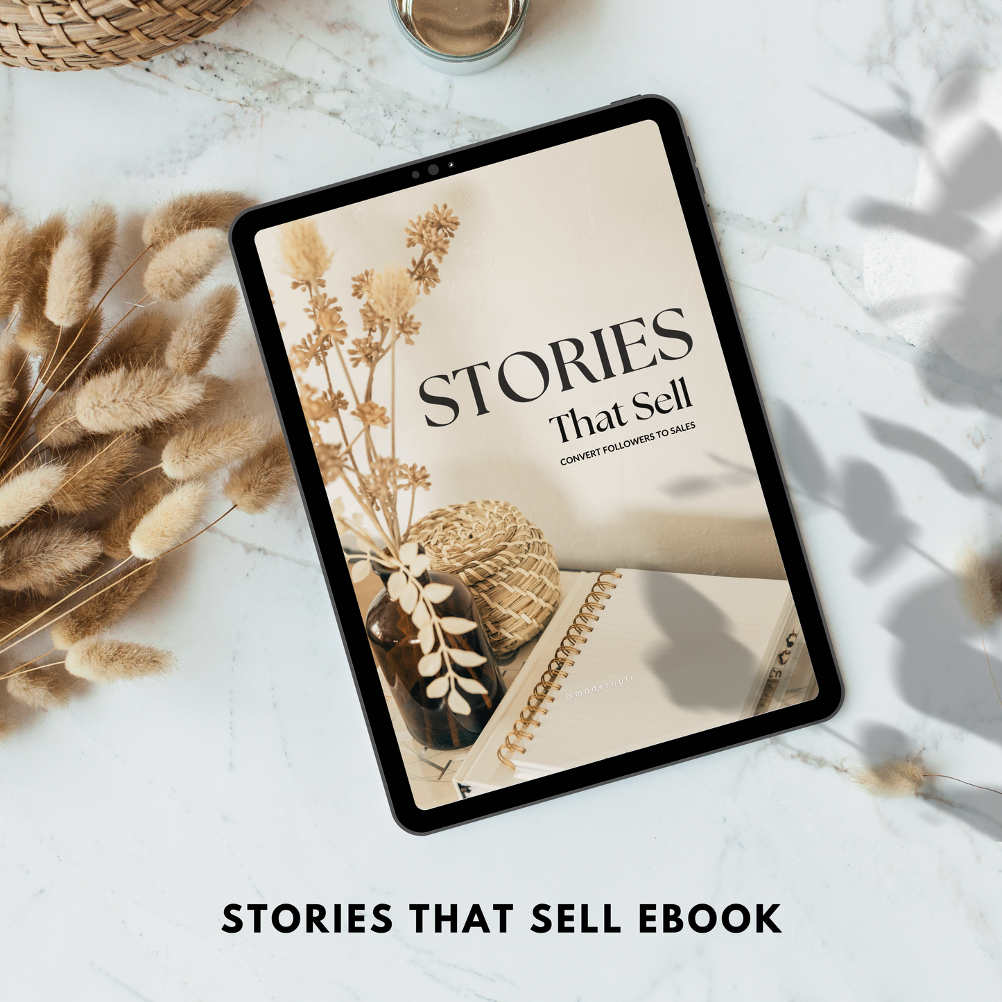 stories that sell ebook plr/mrr