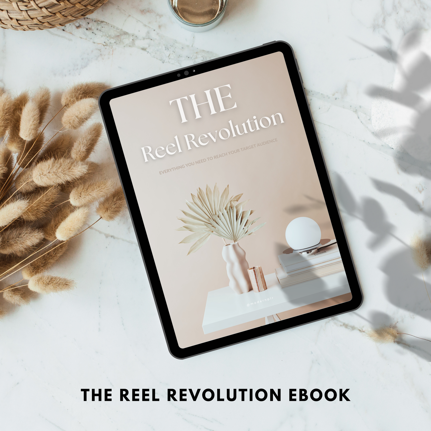 the reel revolution ebook plr/mrr