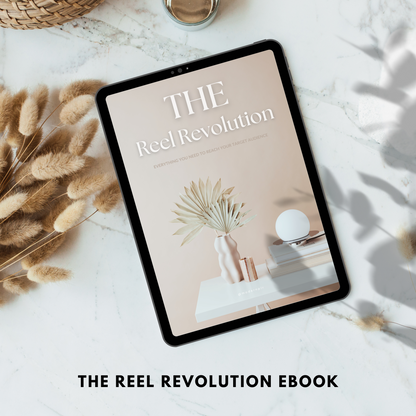 The Reel Revolution Ebook PLR/MRR