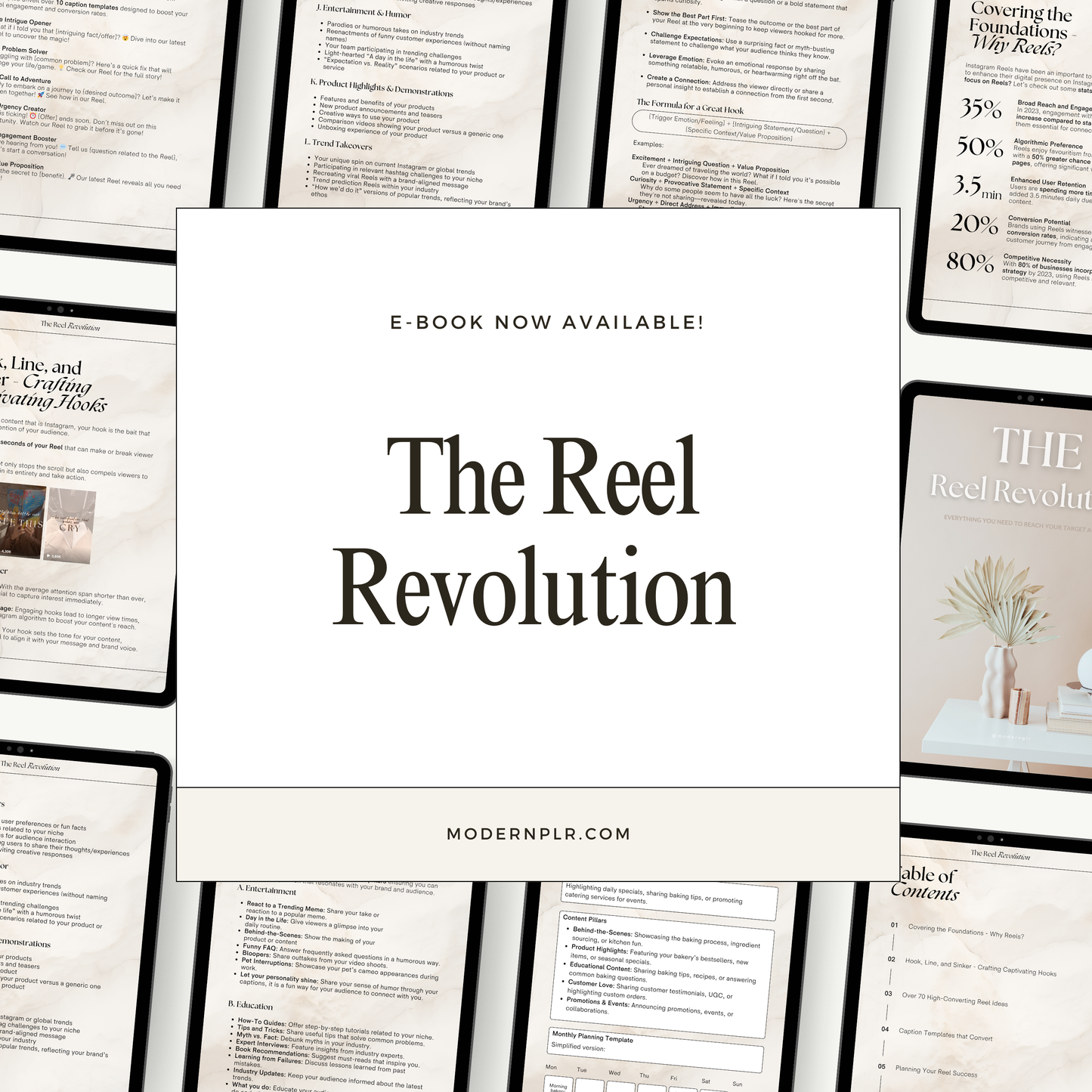 the reel revolution ebook plr/mrr