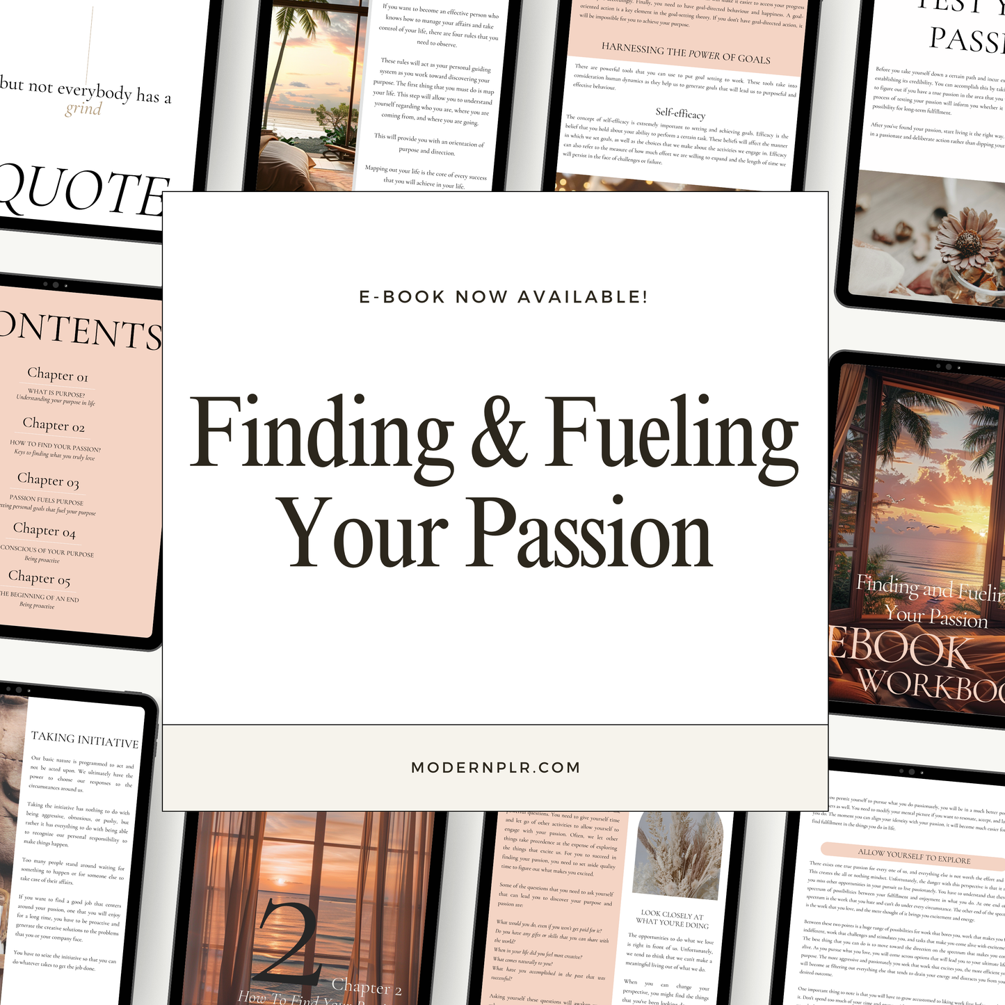 finding and fueling your passion ebook & workbook plr/mrr