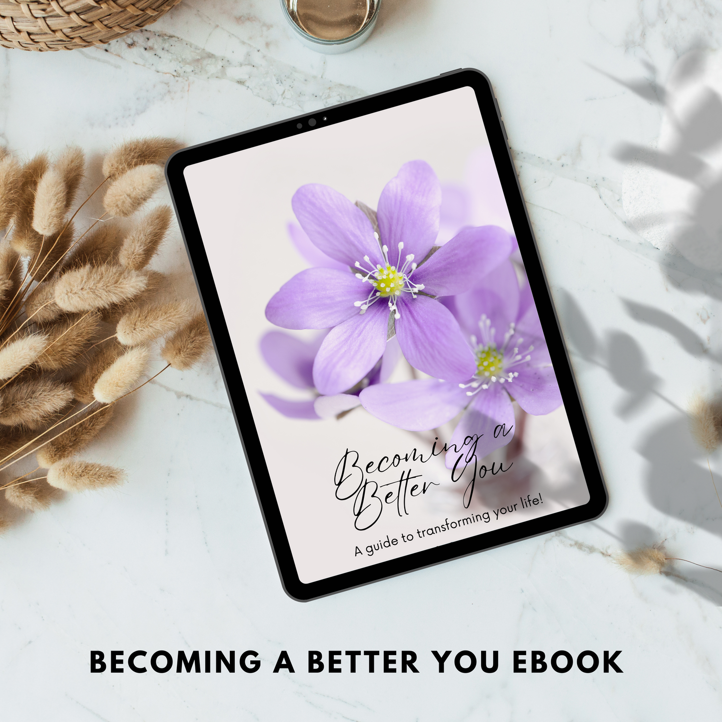 becoming a better you - transform your life ebook plr/mrr