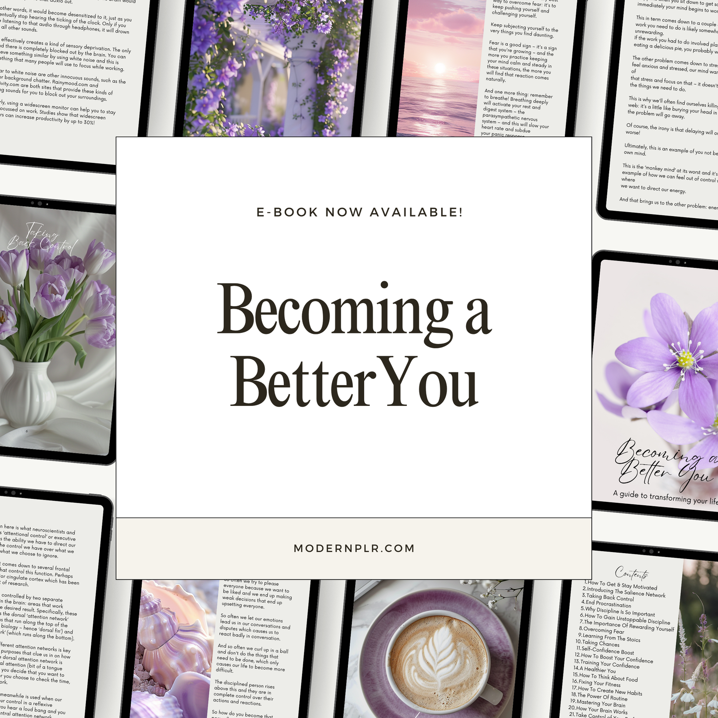 becoming a better you - transform your life ebook plr/mrr